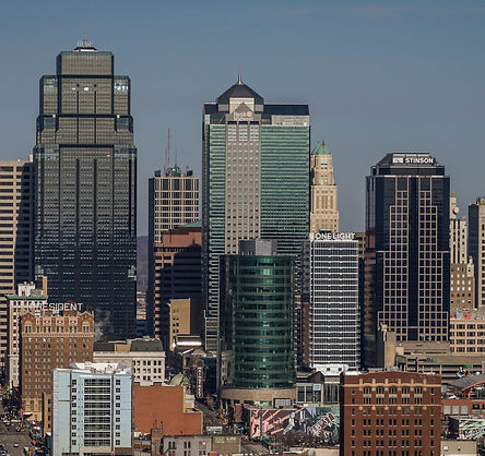 Lice-free in Kansas City icon