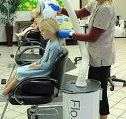 Professional head lice removal service