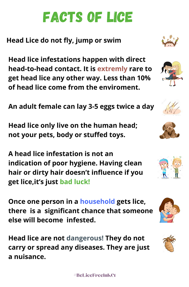 Professional head lice removal service