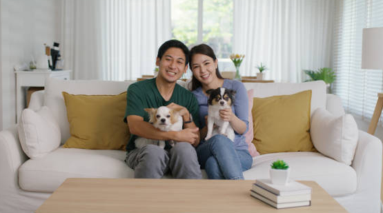 Can Your Dog or Cat Give Your Kids Head Lice?