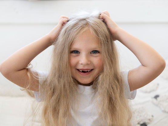 Delving Deeper into the Lifecycle of Head Lice