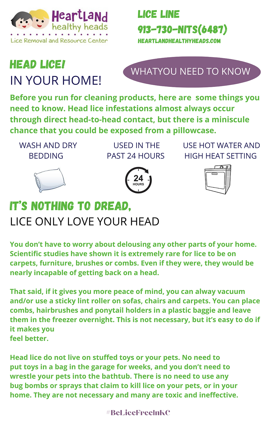 Professional head lice removal service
